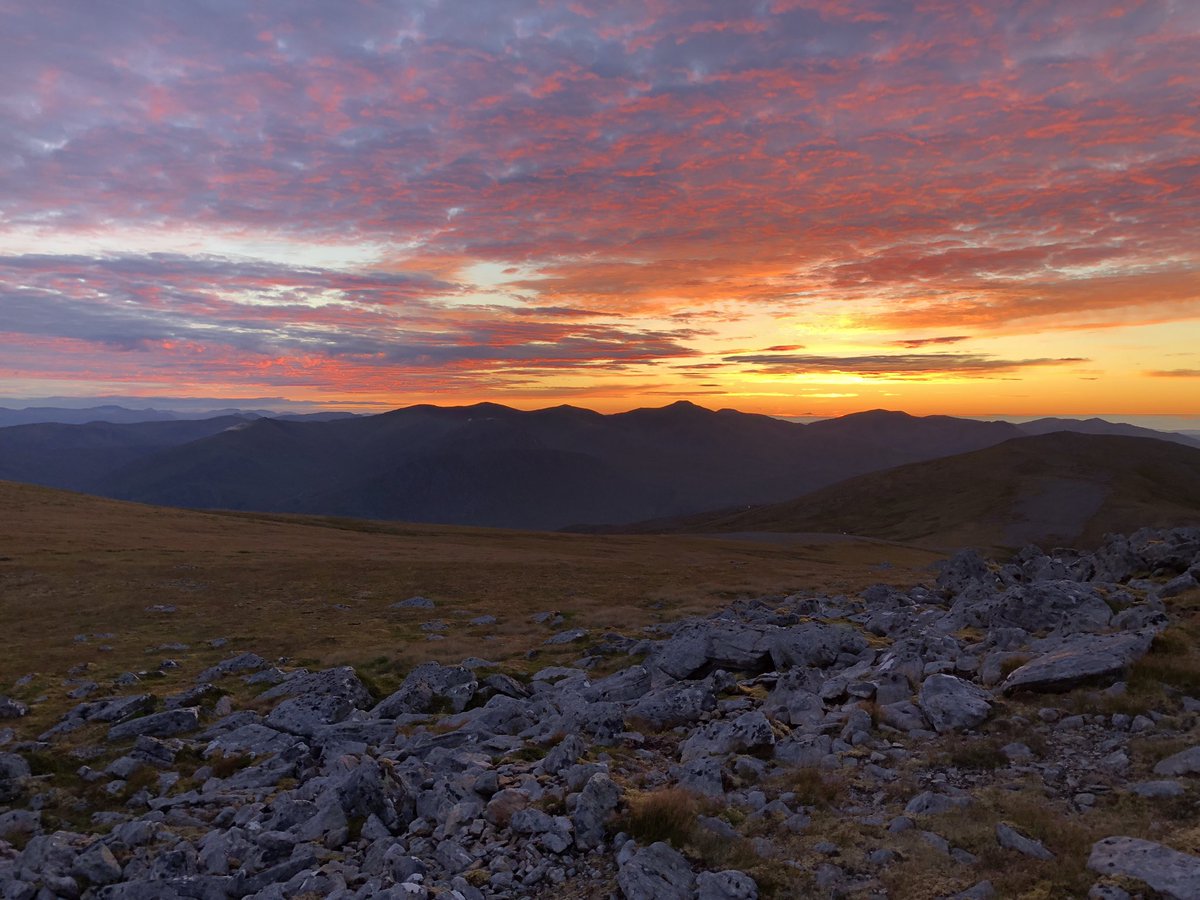 Iain Cameron tweet media