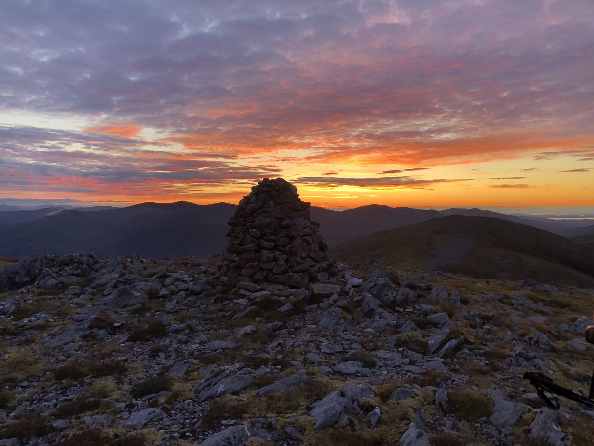 Iain Cameron tweet media