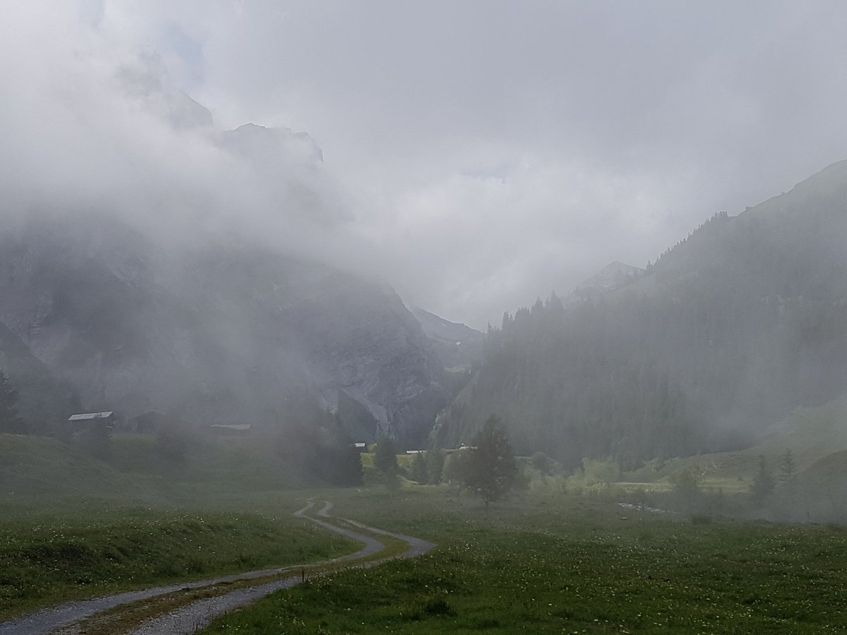AmyandaFairy's tweet photo. Bargis, part 2 (when the fog finally caught up with me)
(11.07.20)
#Bargis #Grisons #Graubuenden #mystic https://t.co/l2sFrrv3xF