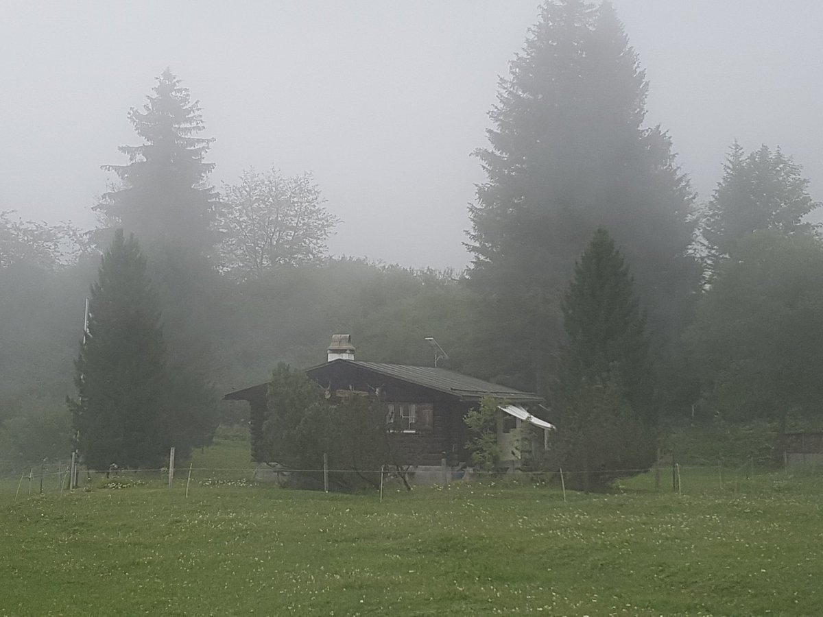 AmyandaFairy's tweet photo. Bargis, part 2 (when the fog finally caught up with me)
(11.07.20)
#Bargis #Grisons #Graubuenden #mystic https://t.co/l2sFrrv3xF