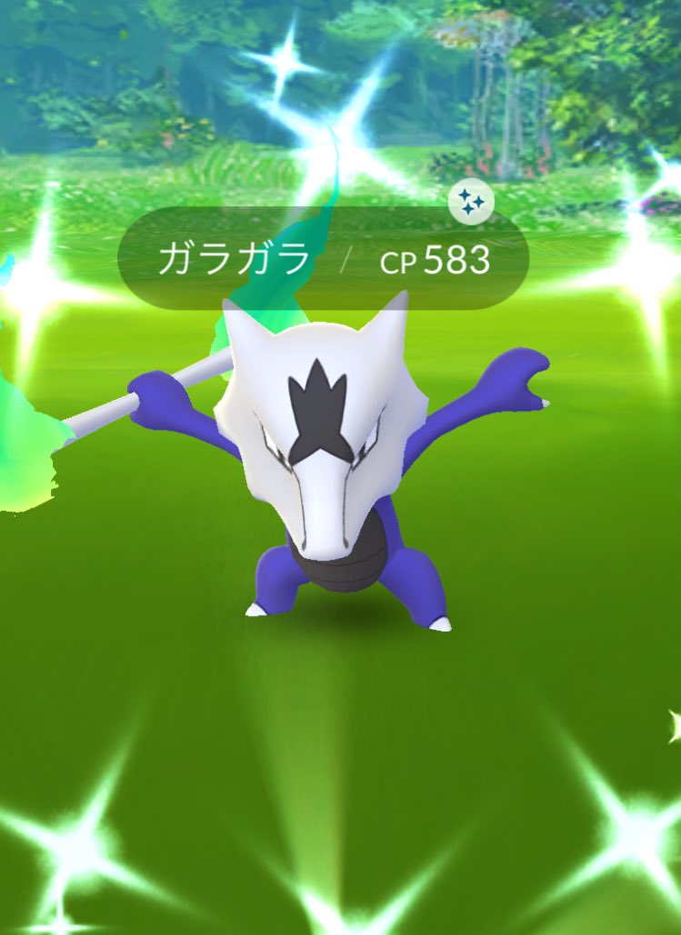 letsbefriend88's tweet photo. ガラガラの色違い！
ガラガラじゃないみたい🤣

もっともっと色違い欲しい〜🥺

#ポケモンGOFest 
#色違いポケモン 
#shinypokemon https://t.co/rm2HNRmViB