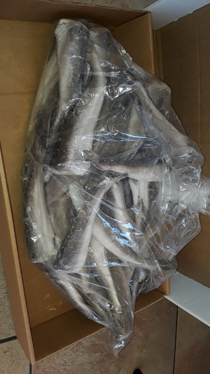 quick_cc's tweet image. BABY HAKES AVAILABLE IN WINDHOEK N$190 FOR A 5KG 
CALL FOR DELIVERY 0814510201
PLEASE CONTACT US ON THIS NUMBER 0814510201