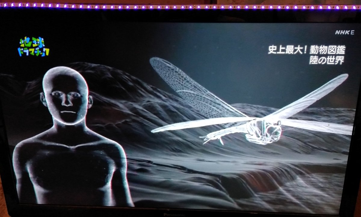 Kegasa Twitterissa 酸素濃度３１ で飼育した ゴキブリは巨大化する 飼育実験中の巨大幼虫 酸素濃度１２ で飼育した ゴキブリは小型化する 巨大昆虫 大トンボ ２億７５００万年前の地球は 酸素濃度３１ 今の１ ５倍 大気圧も今より高かった可能性も 現在の５