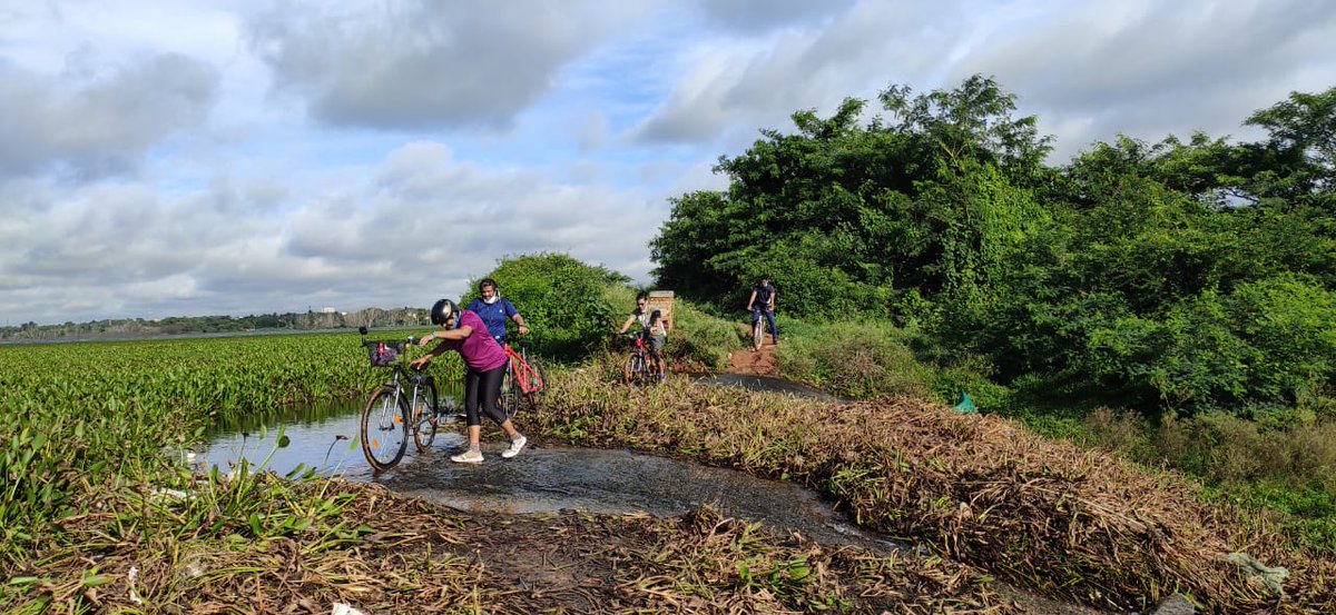 KavithaReddyKR's tweet photo. Wow that was just about 40kms of good #Cycling n this #CycleSaturday took me to my village 😁🚴🚴🚴🚴🚴 got to see Muthanallur Lake overflow, good quality water but Lake is not is good shape!
#Environmemt #Fitness #Health #LakeDiary 💙💚
@jmodh @WeAreHSRLayout @HaSiRuMithra https://t.co/kYDUYUCos0