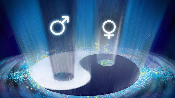 The Principle of Gender states everything in the universe has masculine and feminine properties. Nothing can be created without these two aspects. Masculine energy initiates a project and feminine energy brings it into fruition.