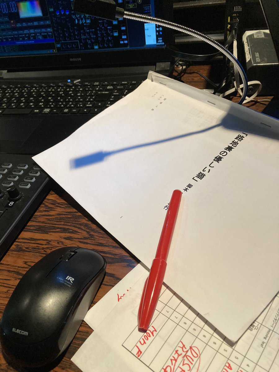 STRAYDOG『路地裏の優しい猫』@近鉄アート館
大阪公演の千穐楽。初のアート館。g MA芝居仕様はまだまだ模索中。。。形になりつつはある。はず、、、、、