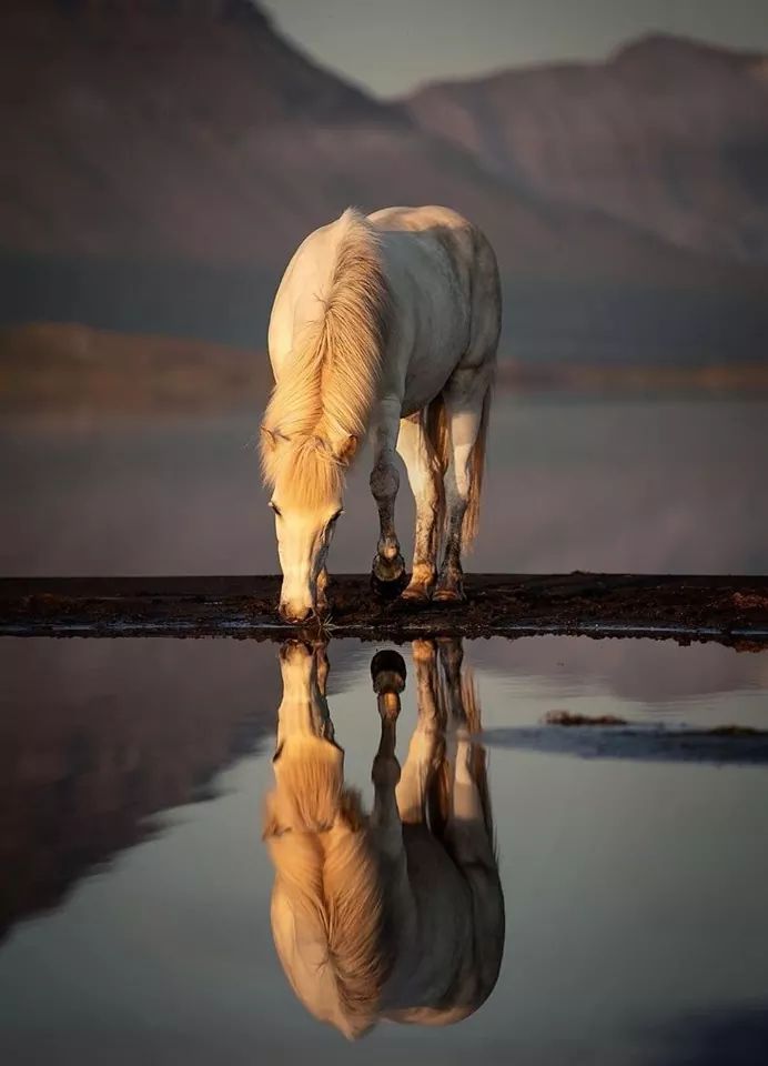 Antoinette Hoberg (@antoinstweets) on Twitter photo 