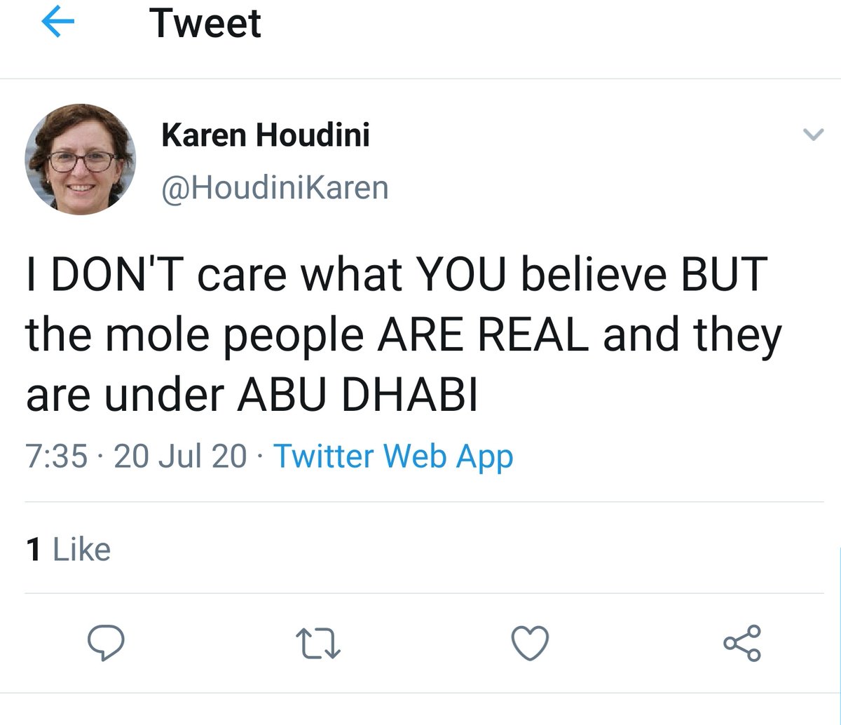2/2 Also some of the tweets appear purely nonsensical, like this one about parking (erm wth) and one about Abu Dhabi and moles...With the name Karen Houdini one has to wonder if it's a weird gag...