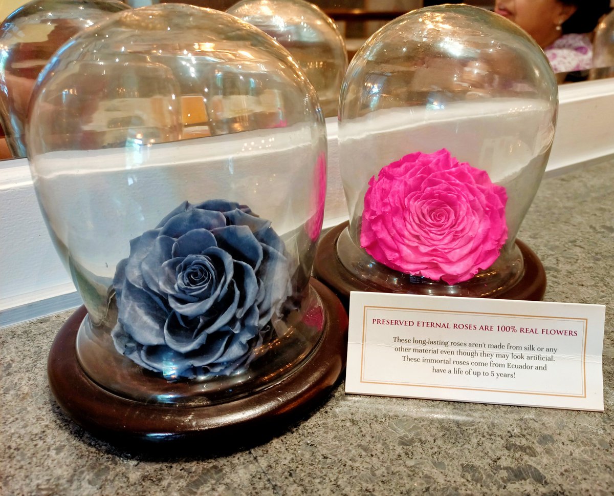𝔹𝕒𝕣𝕦𝕟 𝔾𝕙𝕠𝕤𝕙 বরুণ ঘোষ tweet media