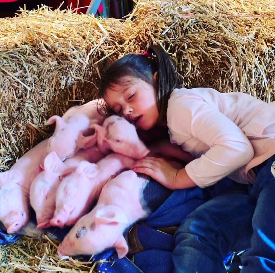 Boerderijkinderen hebben door boerderijstof minder virale- en longproblemen. Hier liggen medicinale kansen volgens wetenschappers. Waarom horen we hier niet meer van ?