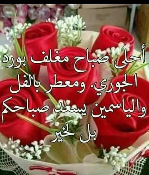 Alaa Haseeb (@haseeb_alaa) on Twitter photo 