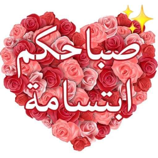 Alaa Haseeb (@haseeb_alaa) on Twitter photo 