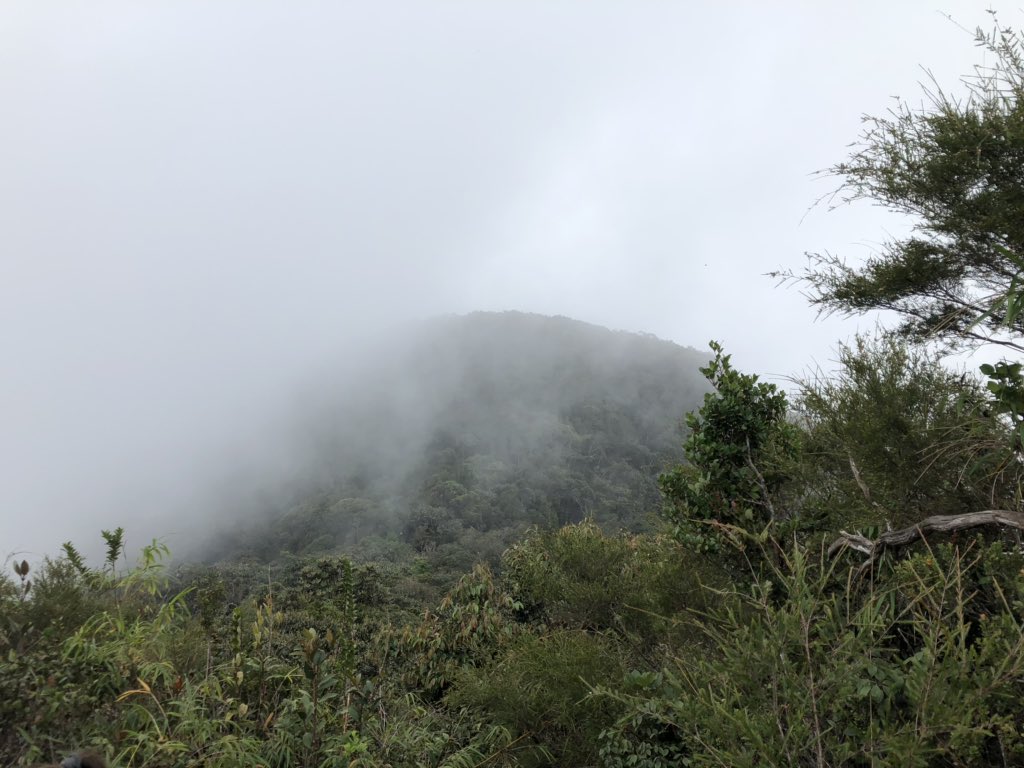 Dag Juhlin-Dannfelt tweet media