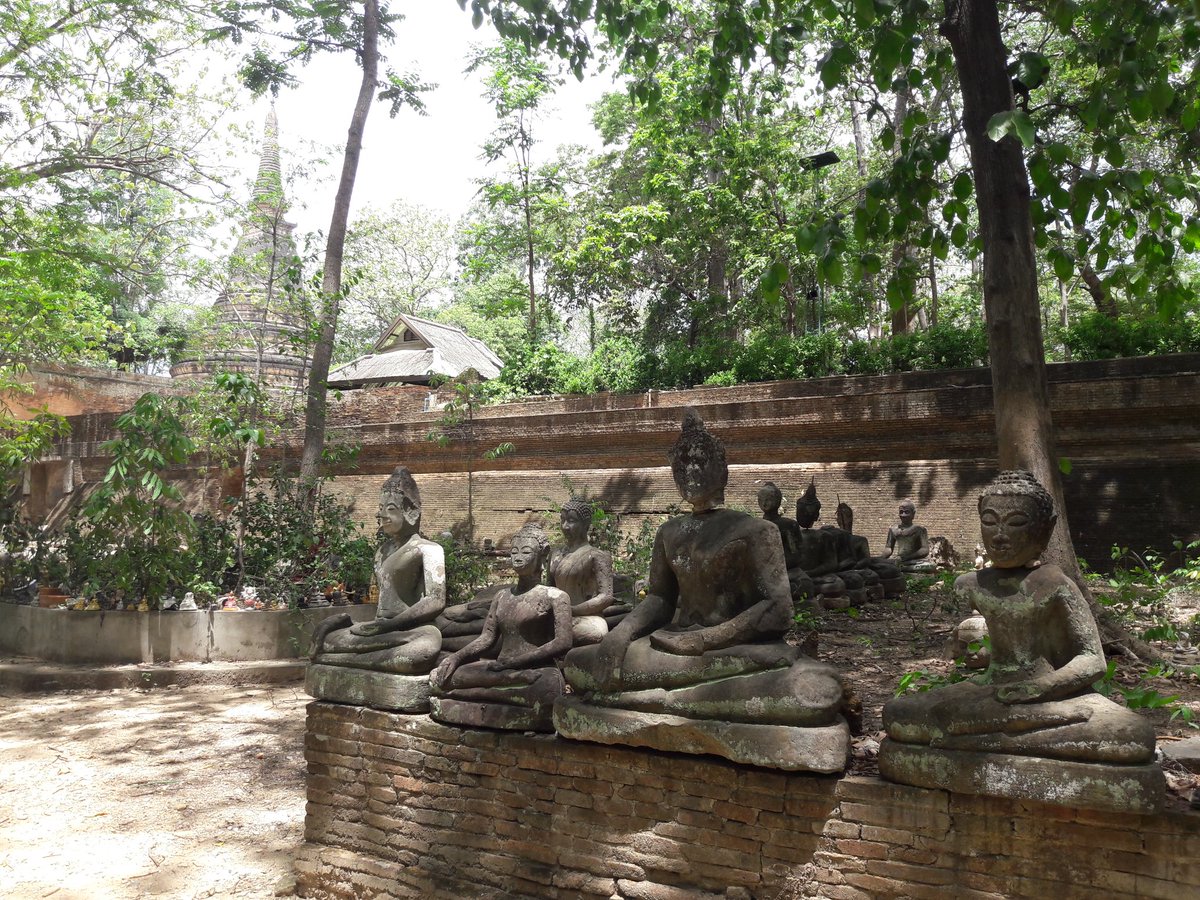 stef25777's tweet photo. #watumong #chiangmai #Thailand #amazingthailand #imissthailand https://t.co/w5BHf03j7z