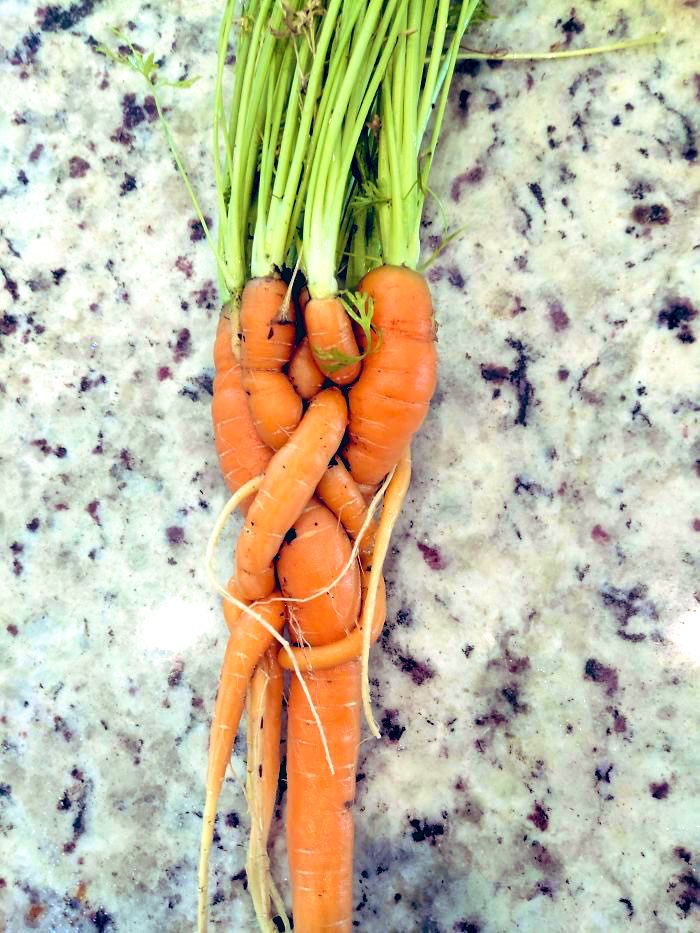 The People’s President tweet media