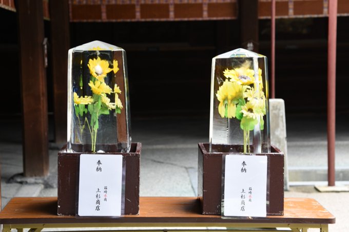 氷柱花の美しい魅力 京都グリーンショップのブログ By カワナミプランテーション