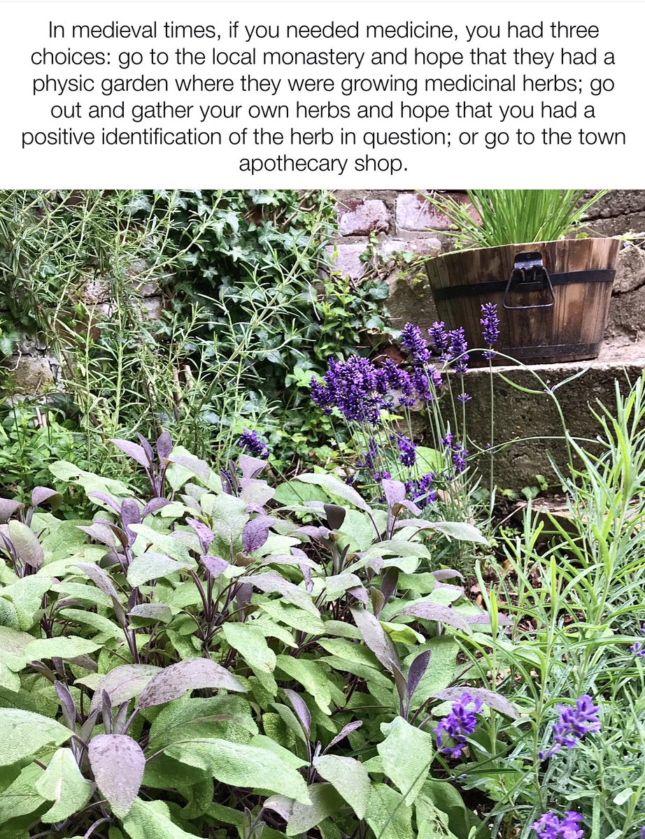 WhiteHartLiz's tweet image. Herbs play a big part in my garden and they are especially useful for teas, medicines and health &amp;amp; beauty. #herbremedies #herbwitch