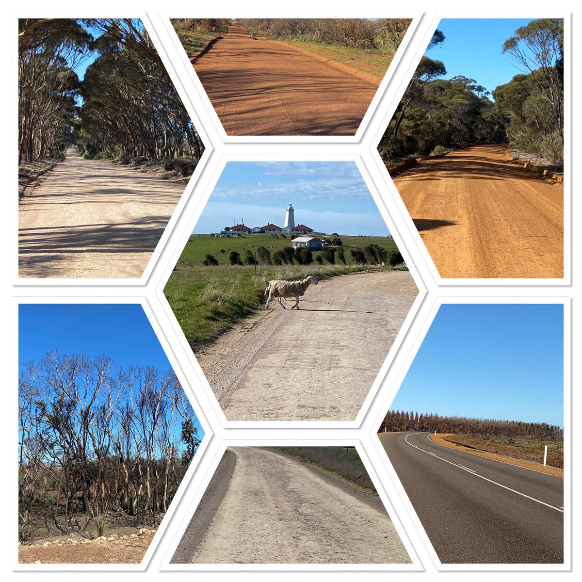 debbateman's tweet photo. Every road in Kangaroo Island leads to a different adventure. 450 kilometers later and my mind is blown. My heart is also very touched seeing the devastation of the recent bushfires. #highlightstocome https://t.co/I8YGYFIcHi