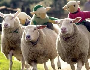 Head over to the Devon's Top Attractions Facebook  page for this weeks #SuperStreamSaturday at 2.45pm today. This week we will be at <a href="/bigsheepdayout/">The BIG Sheep</a>  and they will be taking us on a visitor journey around their top attractions. 
EWE - won't want to miss it! #familyfun #dayout