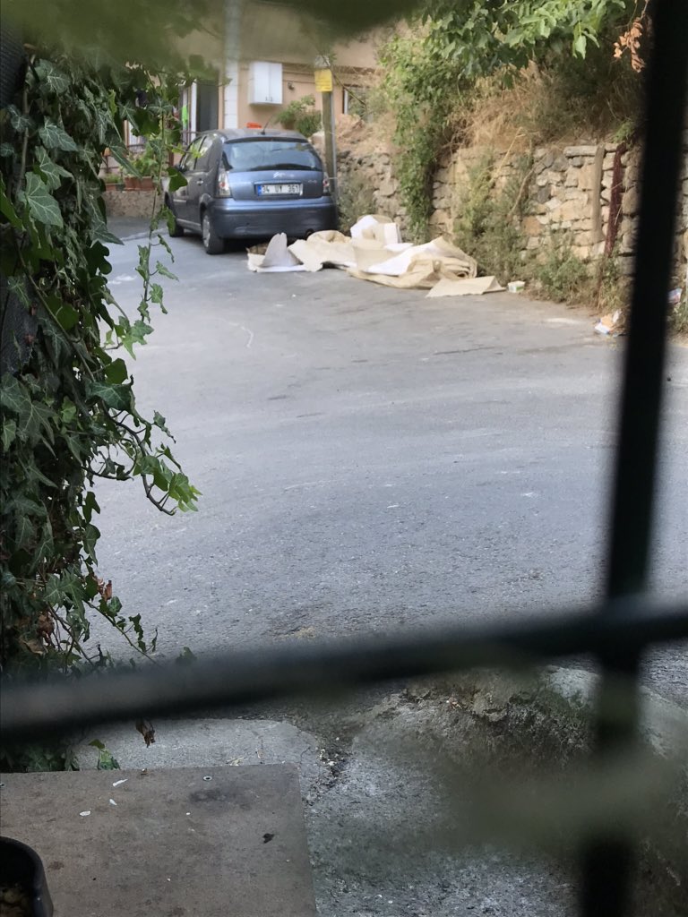 #herkesöğrensin Yenimahalle satranç sk’a yeni taşınan genç,yaşlı teyzeye kedilere mama koyup kirletiyorsun diye sitem etti,3 gündür sokak onun pisliğini çekiyor.351₺ cezasını almasını bekliyorum.<a href="/csbgovtr/">T.C. Çevre, Şehircilik ve İklim Dğş. Bakanlığı</a> <a href="/SariyerBelediye/">Sarıyer Belediyesi</a>