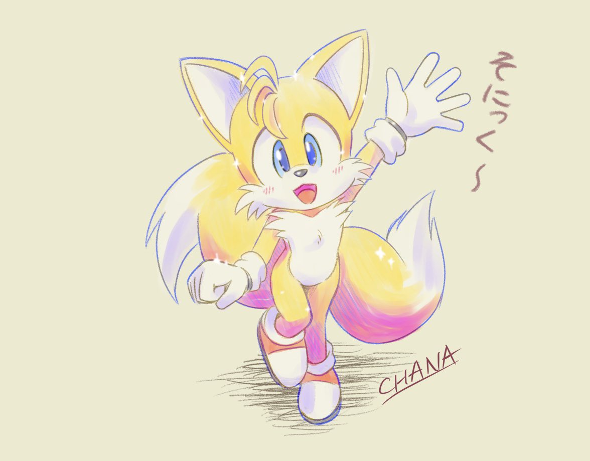 ちゃな Sur Twitter テイルスについて 知っておこう かわいいね じゃっ T Co Lftexshcvm Twitter