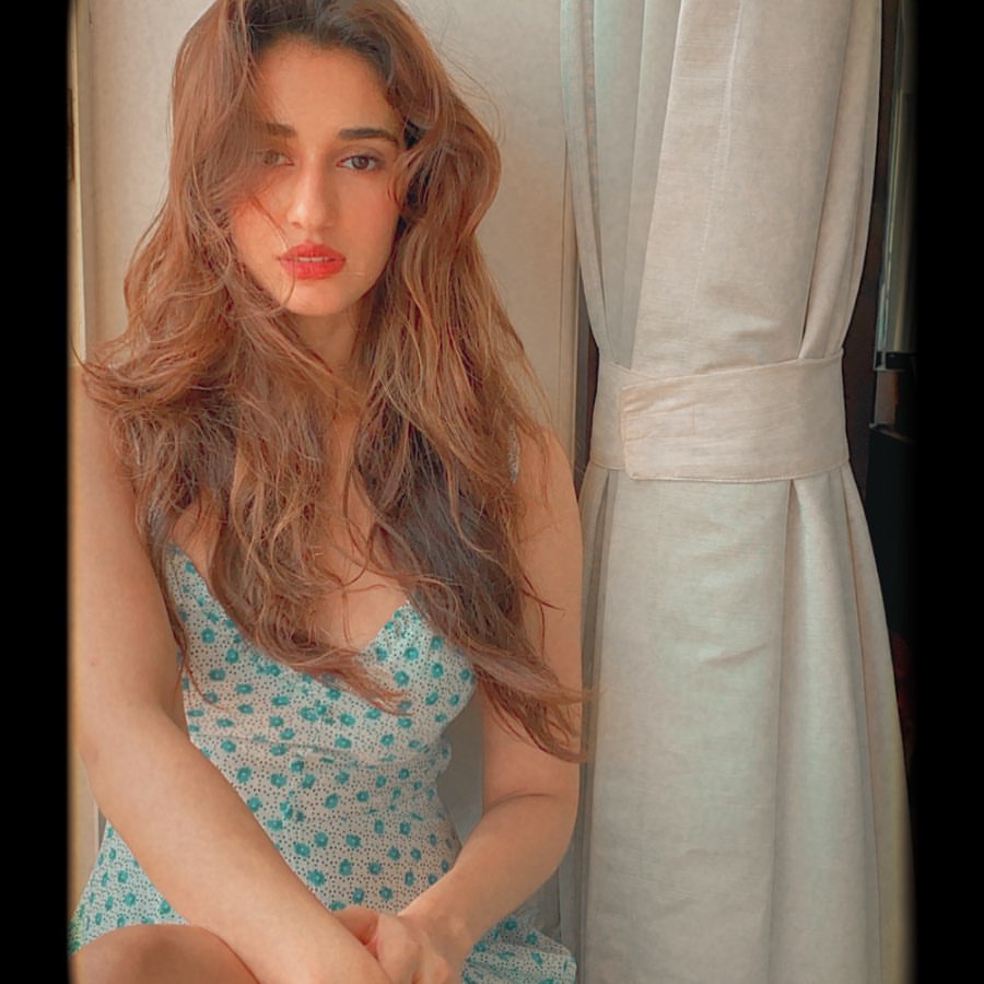 DishPatani's tweet photo. 🌸 https://t.co/LeGv0pwxss