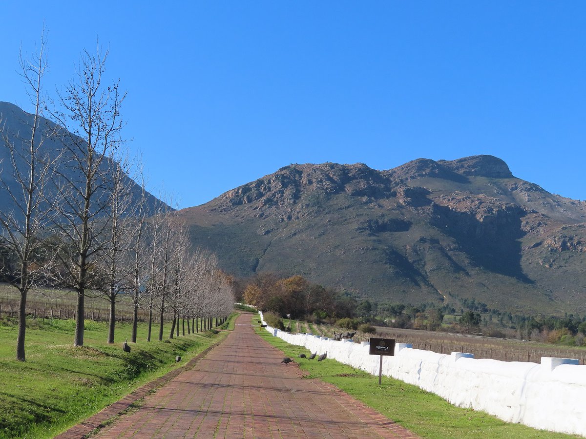 Gail_Mail's tweet photo. Ochra Store, Paarl - from customer awareness to advocacy – excellent coffee, service & panoramic walking views on Saturdays! @FABER_AVONDALE #ShopperSA #LockdownSouthAfrica #Awareness #Paarl #Advocacy #BrandAdvocates #OchraStore https://t.co/shkxocRjw3 https://t.co/aVhYfKA2gw