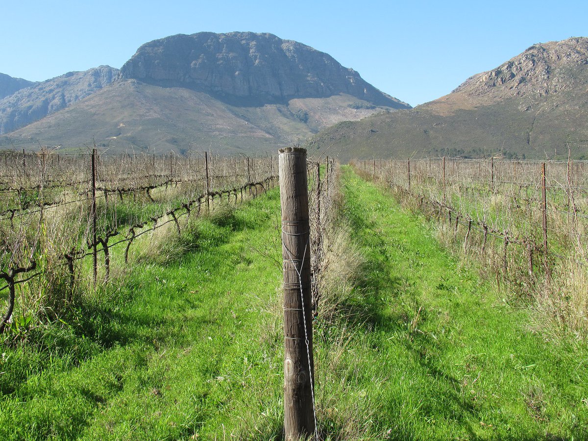 PropertyShowDay's tweet photo. Ochra Store & Faber Restaurant, Avondale Wine Estate, Paarl - from customer awareness to advocacy – panoramic walking views on Saturdays! @FABER_AVONDALE
#ShopperSA #LockdownSouthAfrica #Awareness #Paarl #Advocacy #BrandAdvocates #OchraStore https://t.co/iWhxA2lrbr https://t.co/Zvs9zpemUt