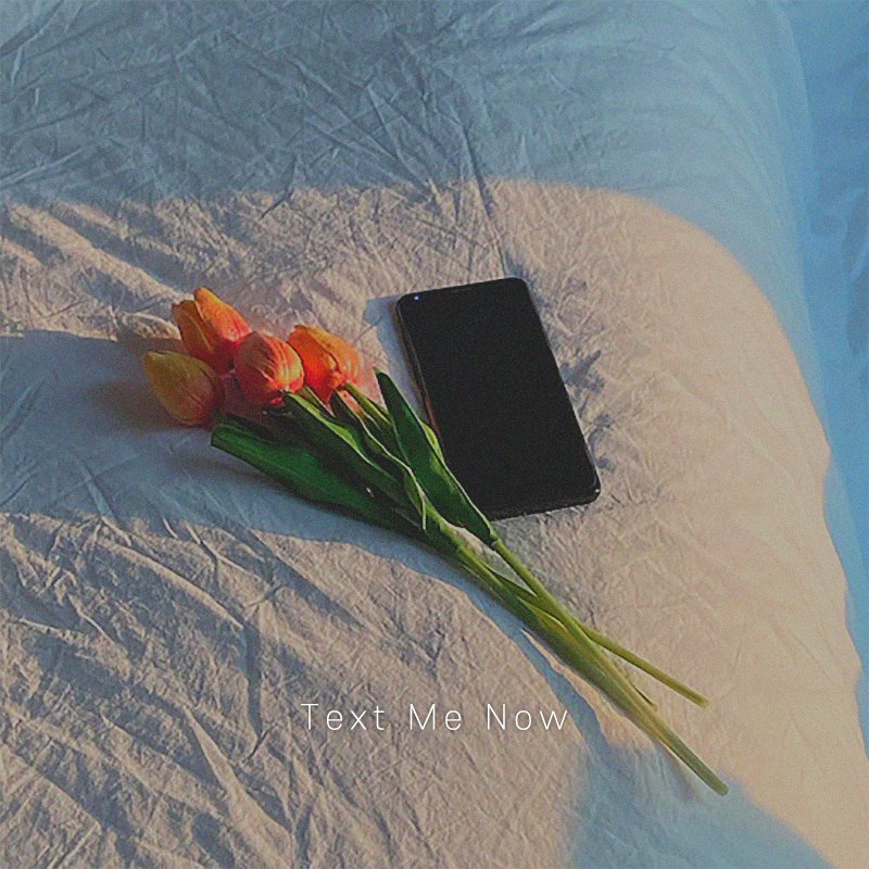 foxykchickyj's tweet image. But this cover picture is so aesthetically pleasing 🥺
#TextMeNow