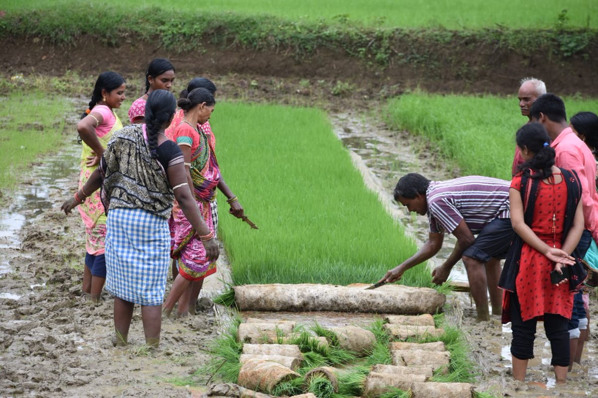CGIARgender's tweet photo. Here a list of six top-level research questions that @r_puskur writes are crucial to answer to achieve both the @CGIARgender and the #OneCGIAR visions. Read on: https://t.co/tveg82CoQb #GenderinAg #Foosecurity @irri @CGIAR @CGIAR_EiB https://t.co/B14BKRrNdD