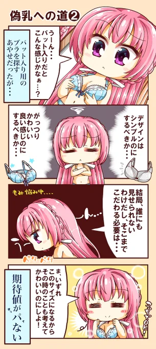 偽乳の初めての下着選び 