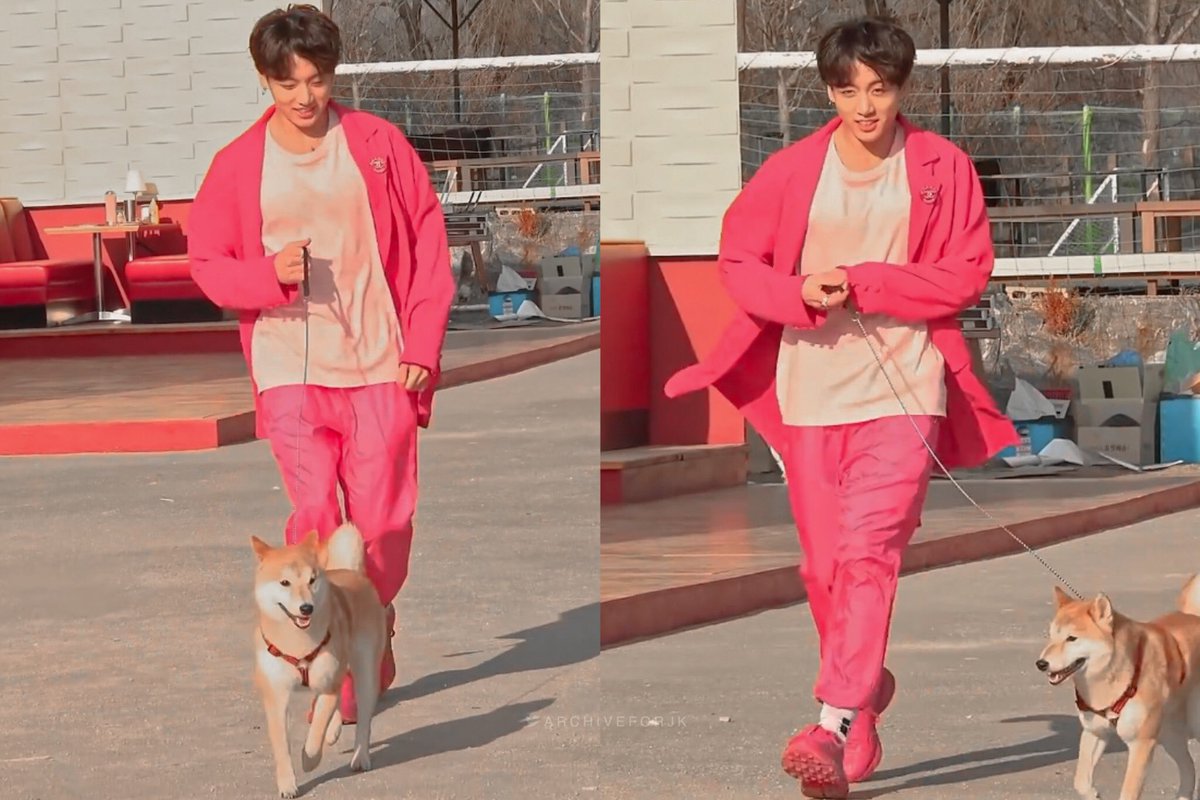 archiveforJK's tweet photo. jungkook's such a dog person, he's so adorable https://t.co/Hy44Gvihdy