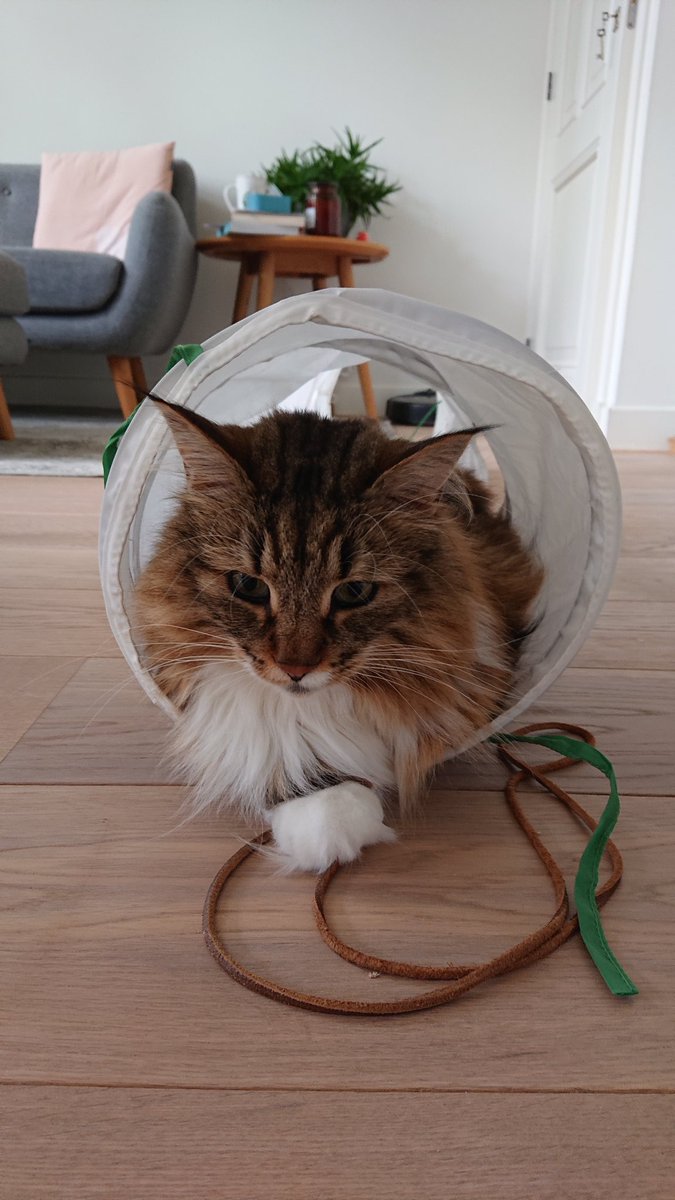 matright's tweet photo. @elonmusk need help on Hyperloop testing? 🤣 https://t.co/766dTTRaLQ
