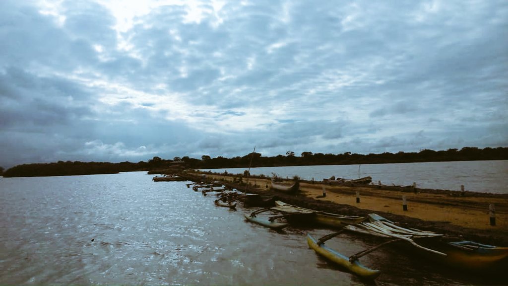 WTrinco's tweet photo. #Kokkilai #Bird #Sanctuary, #Trincomalee, #srilanka
⭕Don't Quit Your Day Dream
 #NaturePhotography
#naturelovers #natural #TraitorTrump #travelblogger #travelphotography #TeamMizCracker #Gatewaytoeast #Technowomen #technology #TheKissingBooth2 #ThalaAjith #சமூக_நீதி_போராளி #fun https://t.co/G39lcoI84U