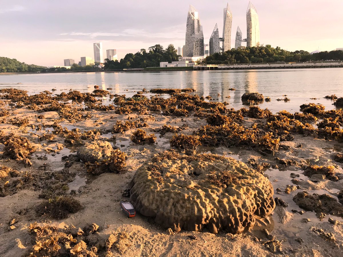 Sea Level Research tweet media