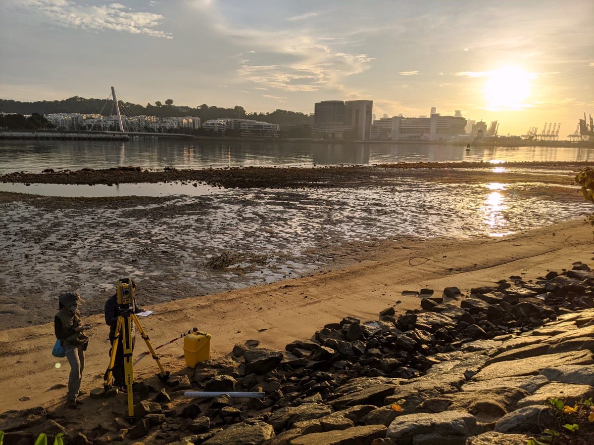 Sea Level Research tweet media