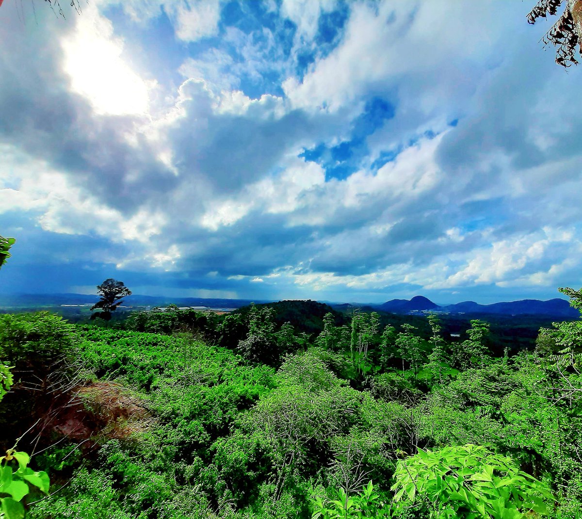 Pasindu_lk's tweet photo. Another hidden #hilltop of our village..😌
The funny thing is that from here you can see the #LotusTower and #Colombobuildings in the distance as a blurred shadow...😃
#Explore #SriLanka https://t.co/oRJzLNnTjD