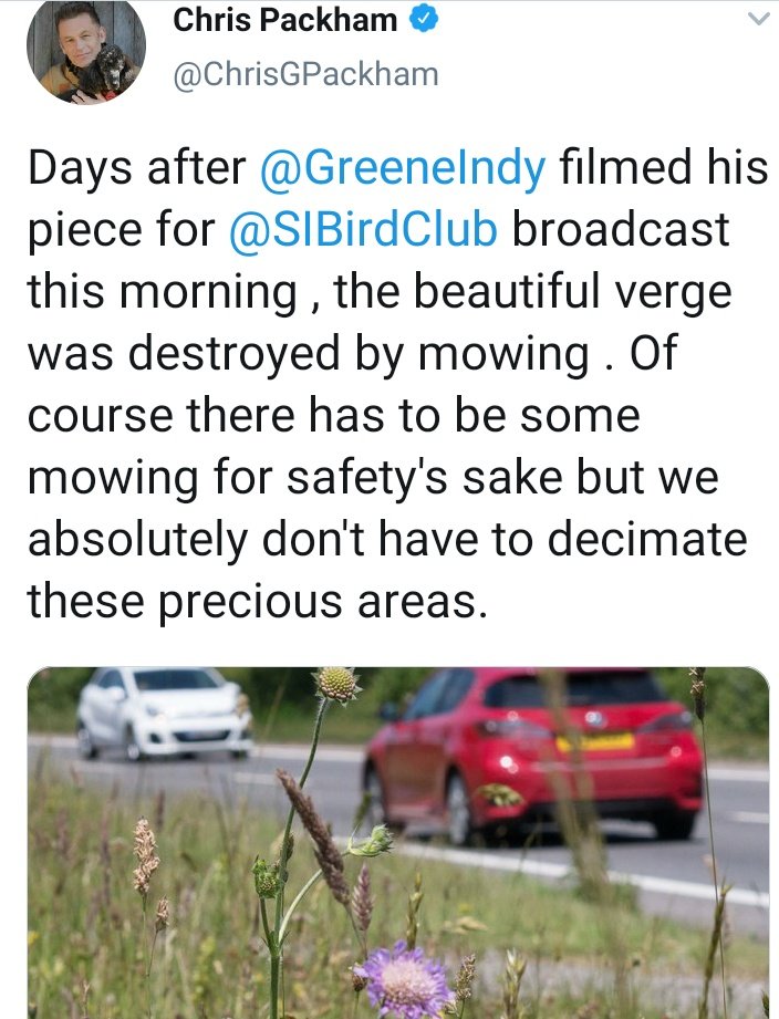 A thread. This morning I am angry, and sad. Why? Because the TV celeb that has the largest audience to talk about ecology in the UK,  @ChrisGPackham, has shown total ignorance of ecology. Mowing this verge didn't "destroy" it! Cutting is necessary to maintain biodiversity 1/n