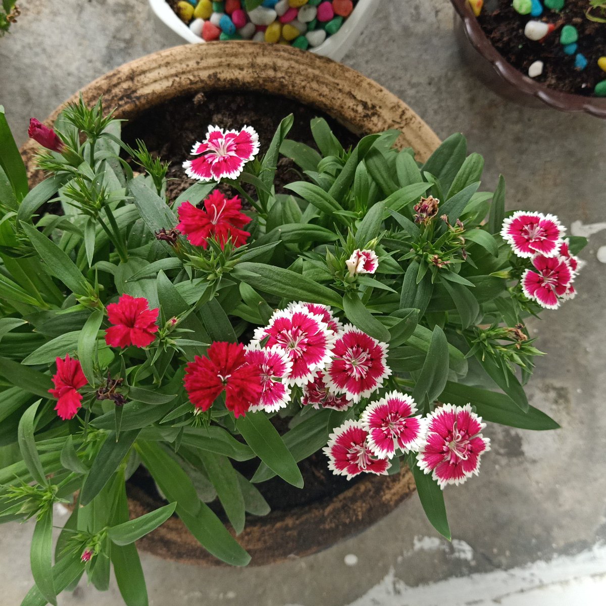 LifeSelvi's tweet photo. Love nature https://t.co/7nSLmLd6WE