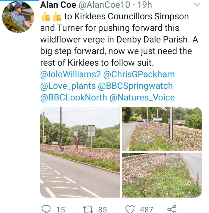 3/n With a similar lack of understanding of ecology, he celebrates these "wildflower verges" which are looking great, but are all but "wildflowers"! The problem with these are multiple: non-native species, use of glyphosate pre-sowing, cost of annual replacement etc