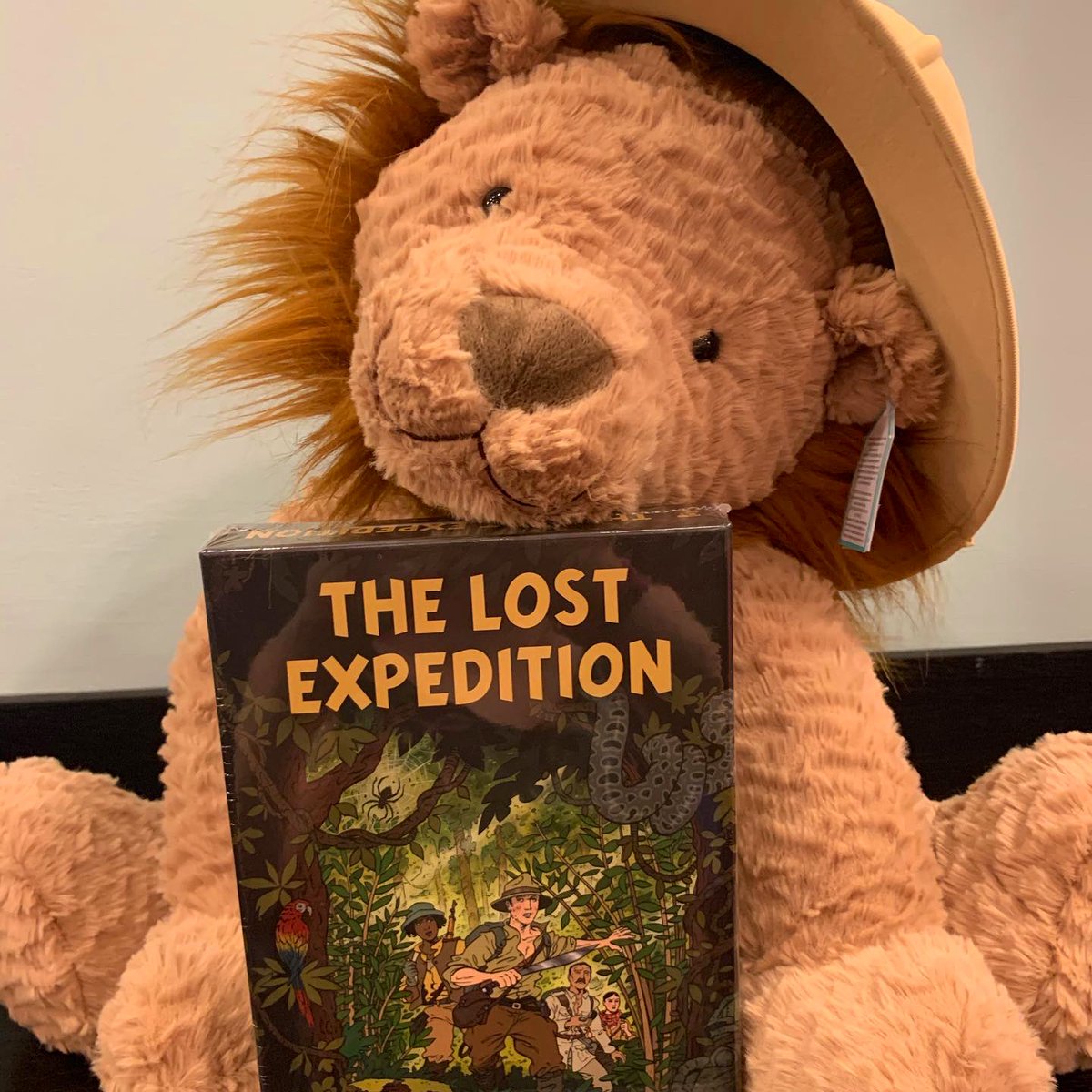 Bluewaterstones's tweet photo. Ever fancied being an explorer, but can’t be bothered to leave your own house? Well here’s the answer! Check out #TheLostExplorer @OspreyGames perfect for solo expeditions or group games. *lion not included.* https://t.co/Hu5EvjuigC