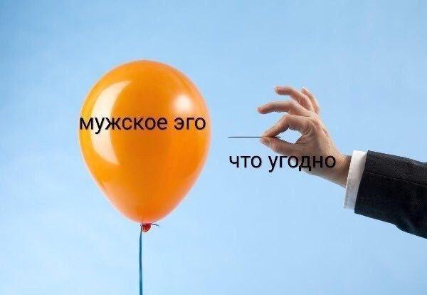 RussianMemesLtd's tweet photo. Male ego   

Anything https://t.co/T3NqqpjDGN