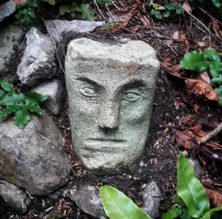 irarchaeology's tweet photo. The verdant remains of St Brendan's holy well in Birr, Co Offaly https://t.co/Ak3cRdEL6V