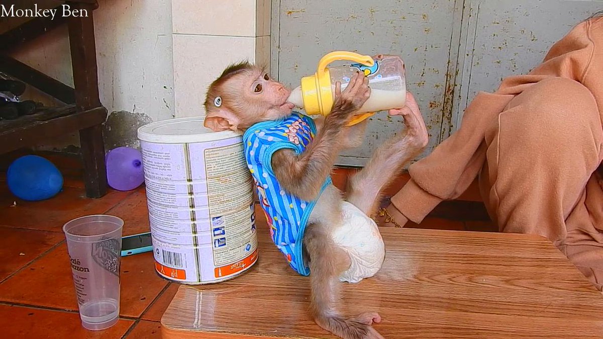 MonkeyBen3 tweet picture