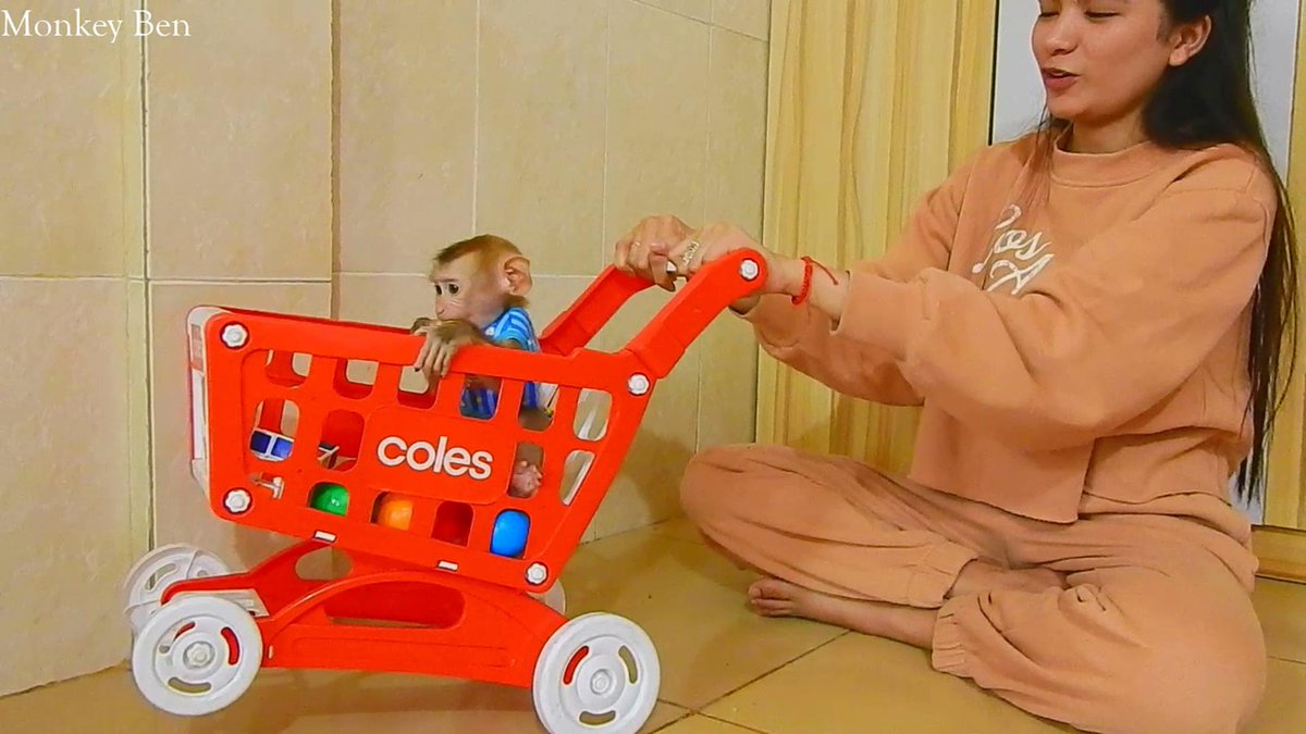 MonkeyBen3 tweet picture
