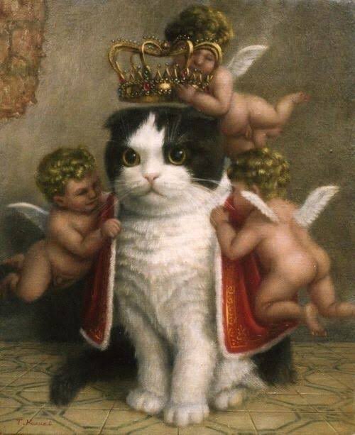ten as cat 🐱 tweet media