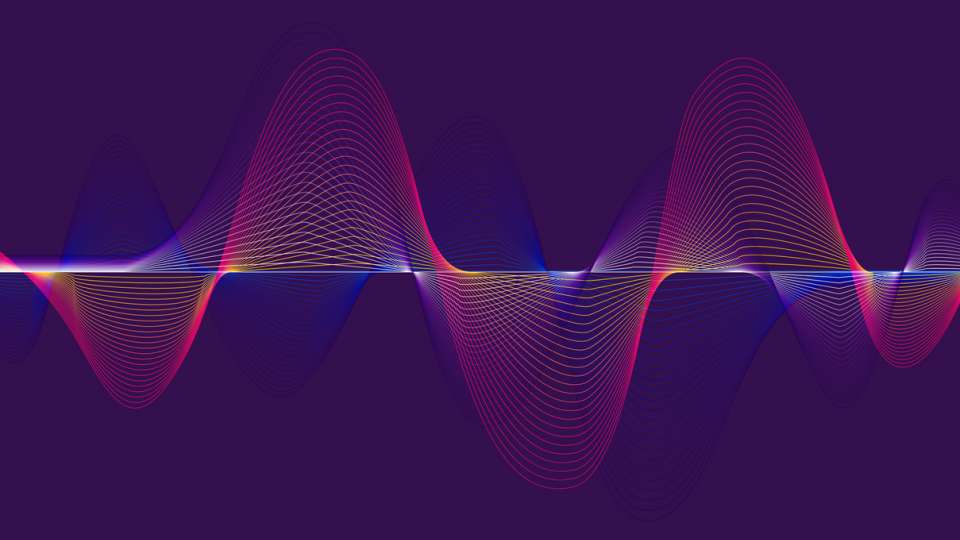 James Knoll tweet media