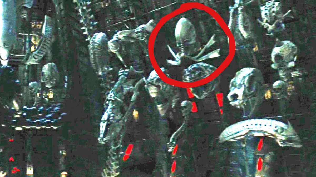 ろーかすと 虫ﾗｲﾀﾞｰ Avp2 のトロフィールームには恐竜らしき頭蓋骨もある