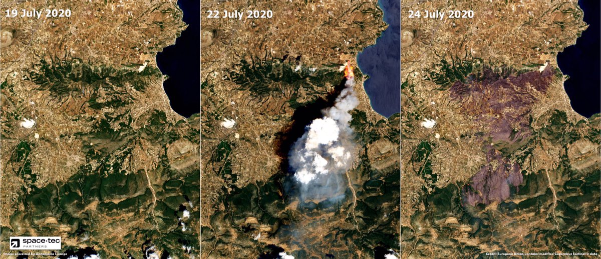 SpaceTec's tweet photo. While we wait for @TwitterSupport to unlock the @DEFIS_EU account, our #dataviz experts remain on alert
⬇️#Κεχριές #Kechries🇬🇷 wildfire as seen in  #Sentinel2 🇪🇺🛰 latest acquisitions
@CopernicusEMS is activated by @GSCP_GR and estimates the affected area to be more than 30 km2 https://t.co/g4nNQJfqEQ