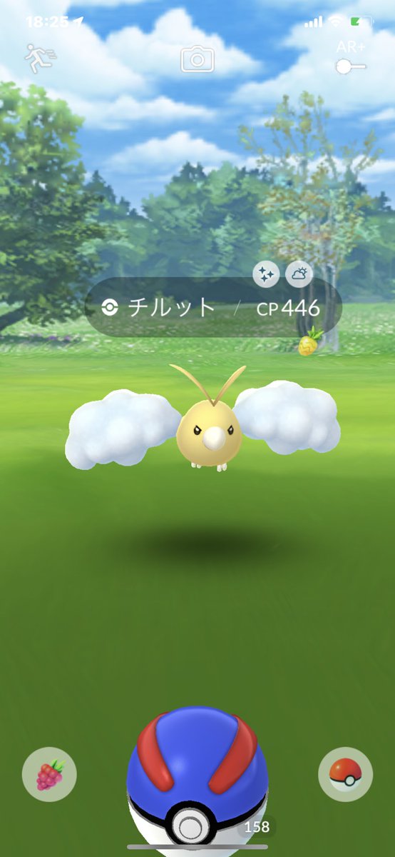 Hiro30y's tweet photo. 10時からはじめてやっと色違いが出ました。
#ポケモンGO 
#ポケモンGOFest https://t.co/l6fTIBBYt2